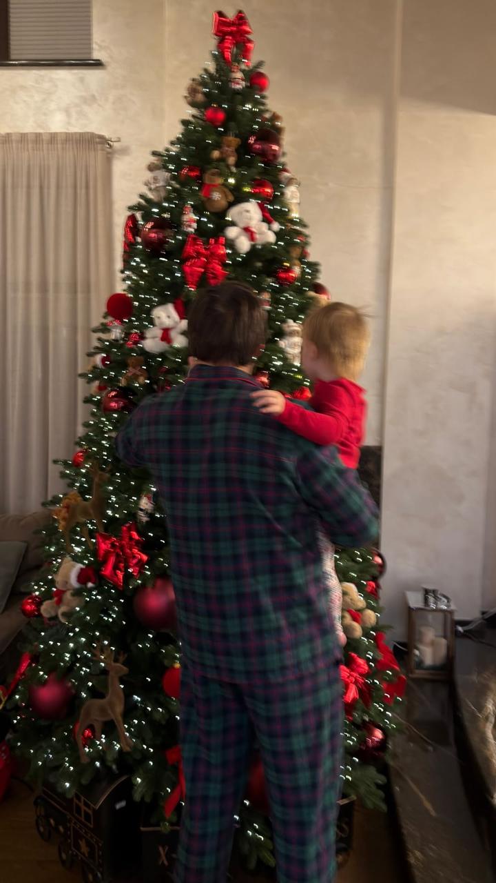 Як Дорофєєва, Усики та інші українські зірки вбрали свої ялинки